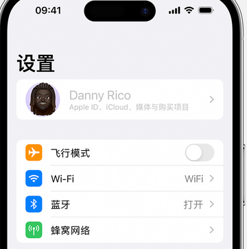 和静appleID维修服务iPhone设置中Apple ID显示为灰色无法使用 