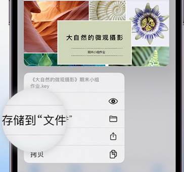 和静apple维修中心分享iPhone文件应用中存储和找到下载文件