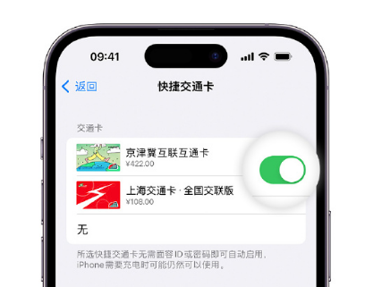 和静apple维修点分享iPhone上更换Apple Pay快捷交通卡手绘卡面 