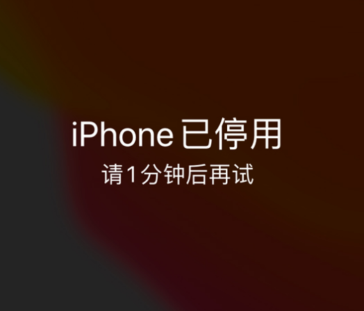 和静苹果手机维修分享:iPhone 显示“不可用”或“已停用”怎么办？还能保留数据吗？ 