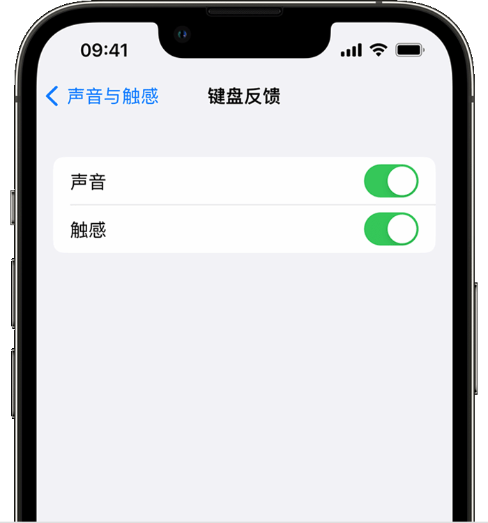 和静苹果14维修店分享如何在 iPhone 14 机型中使用触感键盘 