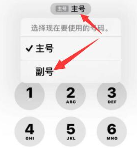 和静苹果14维修店分享iPhone 14 Pro Max使用副卡打电话的方法 