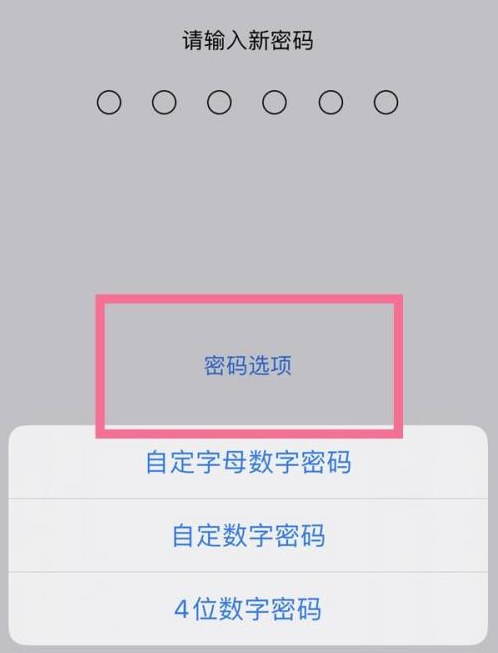 和静苹果14维修分享iPhone 14plus设置密码的方法 