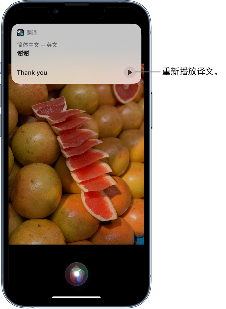 和静苹果14维修分享 iPhone 14 机型中使用 Siri：了解 Siri 能帮你做什么 