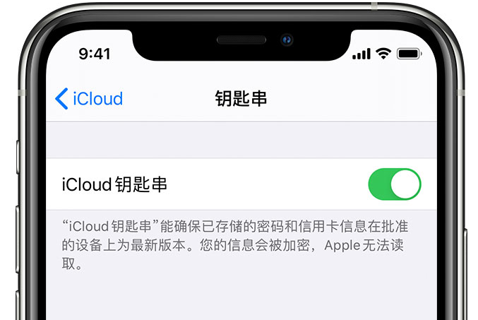 和静苹果手机维修分享在 iPhone 上开启 iCloud 钥匙串之后会储存哪些信息 