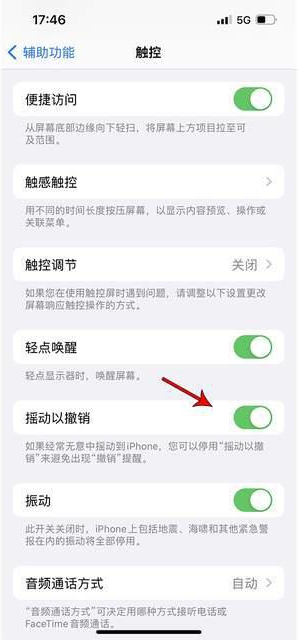 和静苹果手机维修分享iPhone手机如何设置摇一摇删除文字 