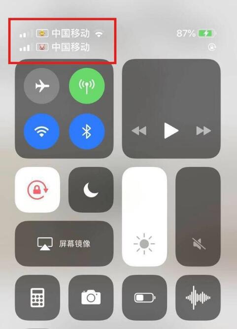 和静苹果手机维修分享为 iPhone 12 双卡设置标签 
